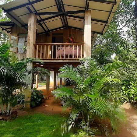 Ruk Sewana Villa Tree House Sigiriya Exteriör bild