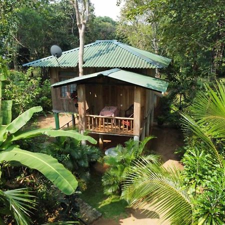 Ruk Sewana Villa Tree House Sigiriya Exteriör bild