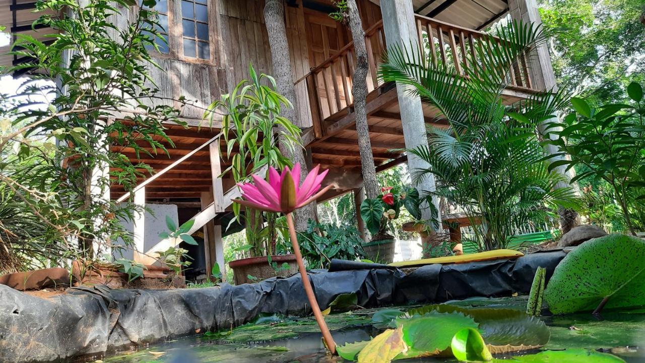 Ruk Sewana Villa Tree House Sigiriya Exteriör bild
