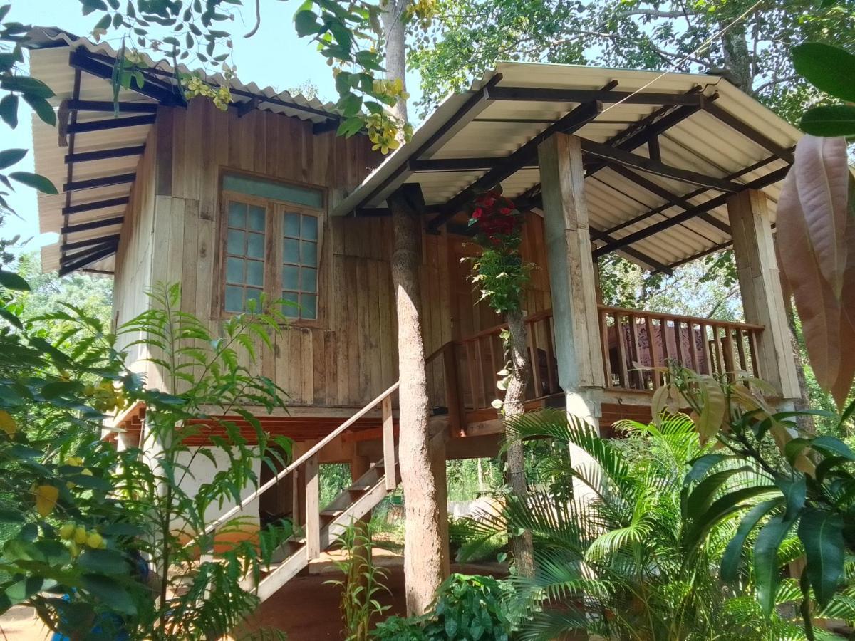 Ruk Sewana Villa Tree House Sigiriya Exteriör bild